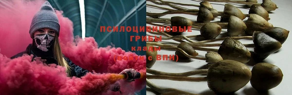 стаф Абаза