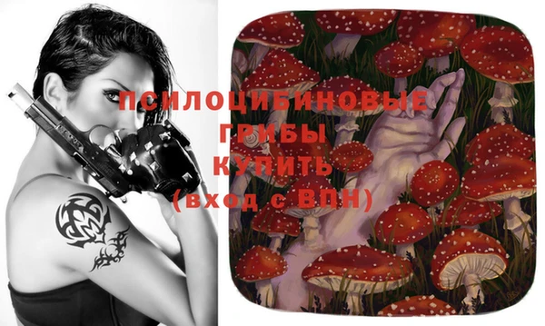 стаф Абаза